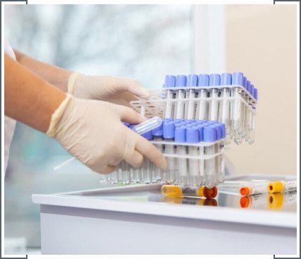 DNA Cryopreservation